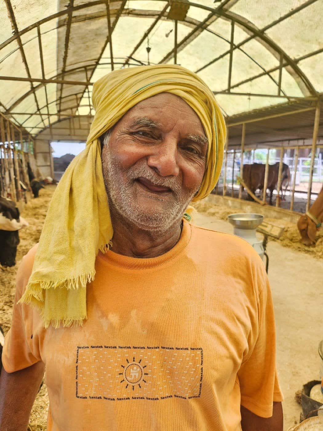 Sri Radha Mohan Dairy Farm, a PYAAS partner farm in Gonda