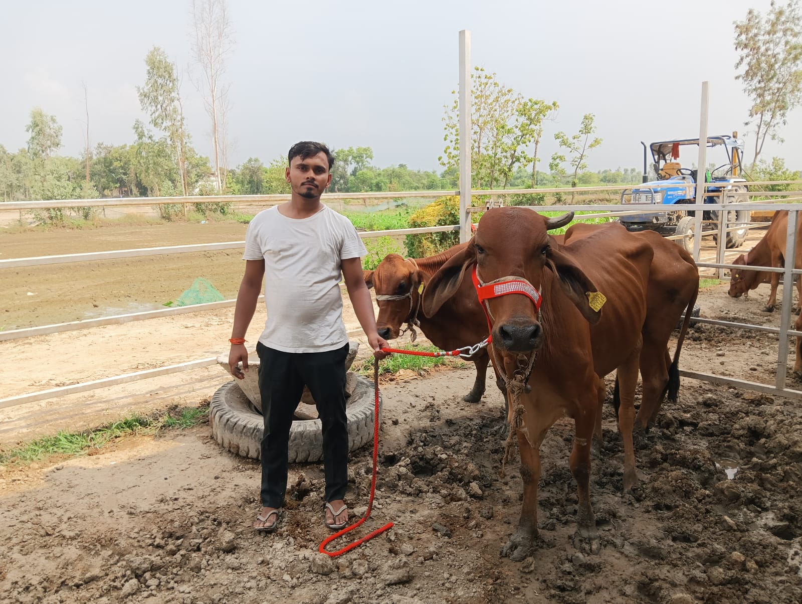 Gonard Dairy farm, Gonda